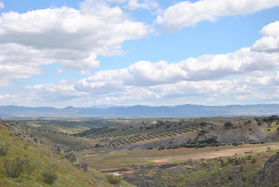 Vivienda Uso Turístico Los Garriolos - Paraje San Isidro
